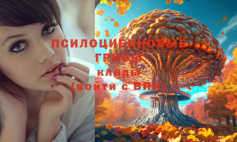 цены   Давлеканово  Псилоцибиновые грибы Magic Shrooms 