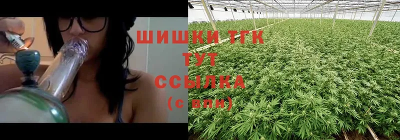 купить наркоту  Давлеканово  MEGA зеркало  Каннабис THC 21% 